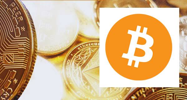Best wrapped bitcoin Alternatives