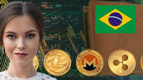 brazil crypto wallet