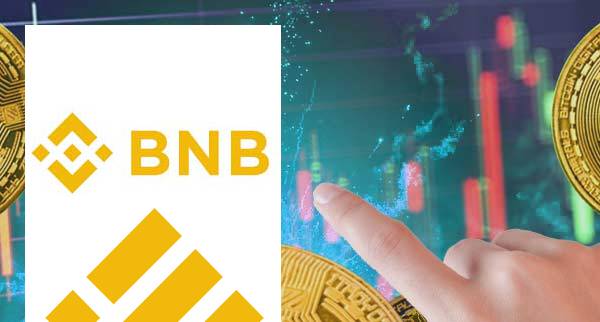 Will Binance Coin BNB Crash