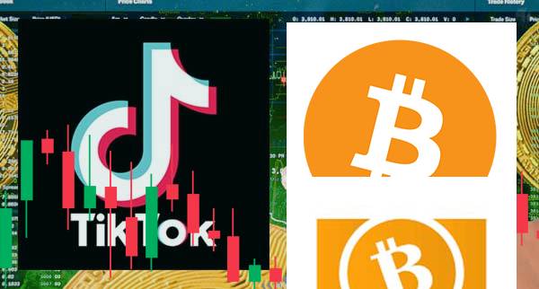 bitcoin Traders On TikTok