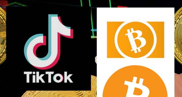 bitcoin cash Traders On TikTok
