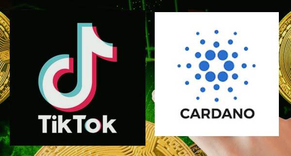 cardano Traders On TikTok