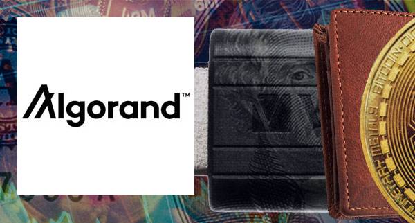 How To Create A algorand Wallet