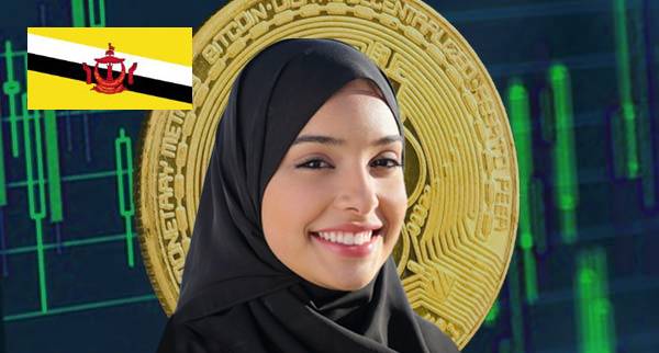 Best Cryptocurrency Courses brunei