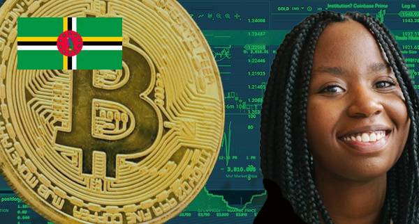 Best Cryptocurrency Courses dominica