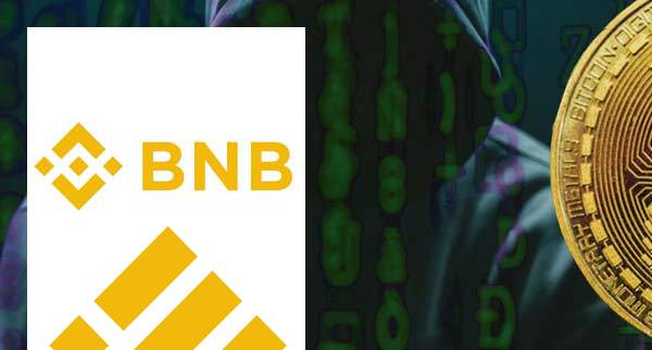 How To Avoid Binance Coin BNB Scams