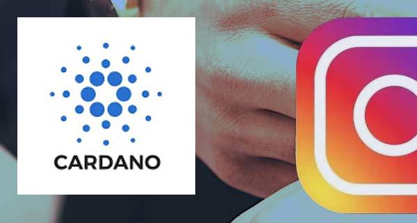 cardano Traders On Instagram