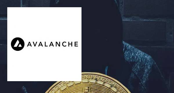 Is avalanche A Scam
