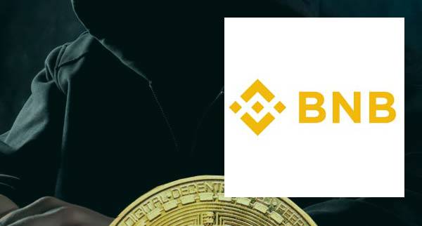Is binance coin A Scam