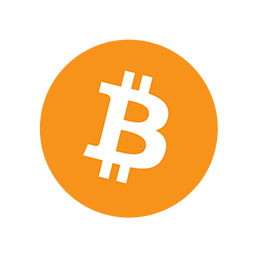Bitcoin BTC USD Coin USDC alternative