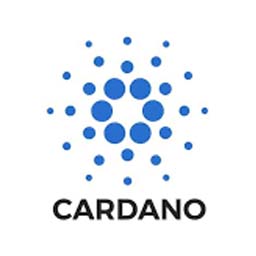  Cardano ADA Vechain VET alternative