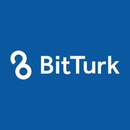 BitTurk Review