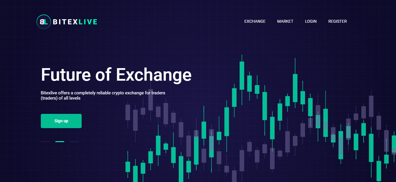 BITEXLIVE Review